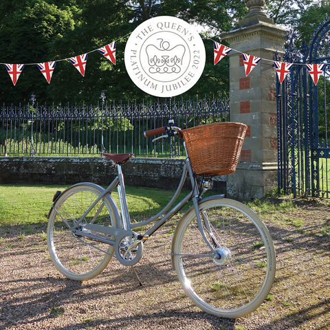 PASHLEY Britannia Jubilee special 8 speed hub click to zoom image