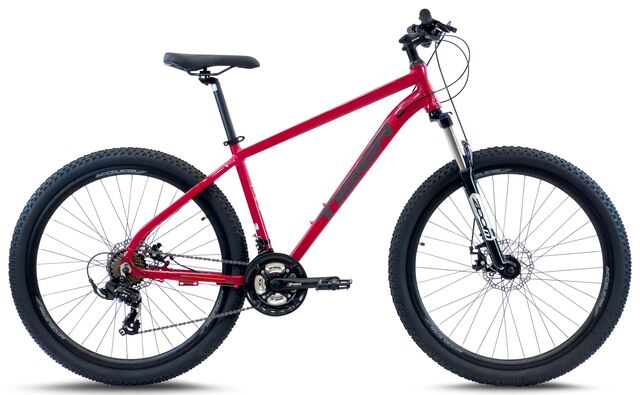 Tiger ace 24 mountain bike sale